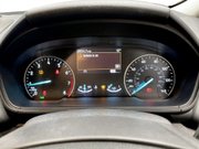 Ford Ecosport 1.0T EcoBoost GPF ST-Line SUV 5dr Petrol Manual Euro 6 (s/s) (125 ps) Sat N 14