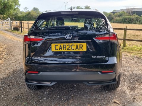 Lexus NX 300H SPORT 7