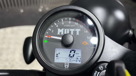 Mutt Hilts 2021 ONLY 529 MILES 1 OWNER WARRANTY 125CC SCRAMBLER 25