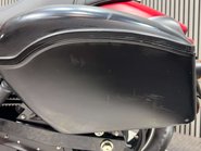 Harley-Davidson Street 750 XG 2019 69 PLATE STUNNING BIKE PANNIERS NEW MOT A2 34