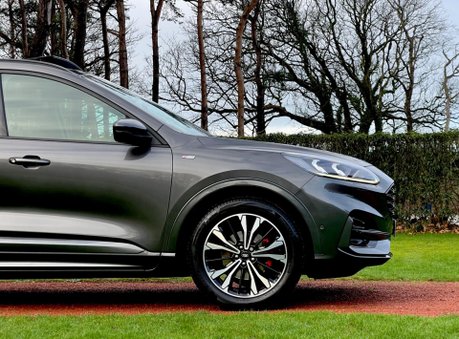 Ford Kuga ST-LINE X FIRST EDITION ECOBLUE 19