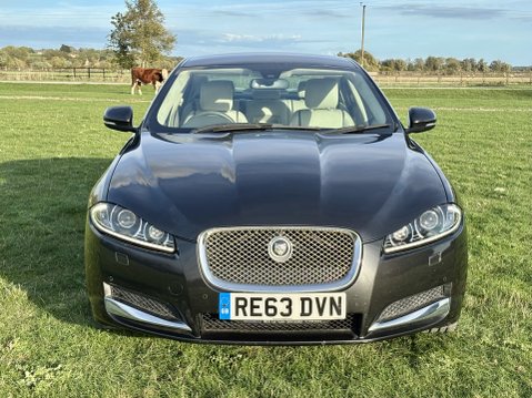 Jaguar XF D PORTFOLIO Low Mileage FSH 7