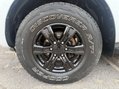 Ford Ranger WILDTRAK 4X4 DCB TDCI 15