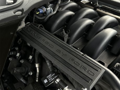 Ford Mustang BULLITT 85