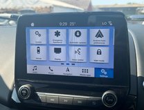 Ford Ecosport 1.0T EcoBoost GPF ST-Line SUV 5dr Petrol Auto Euro 6 (s/s) (125 ps) 23
