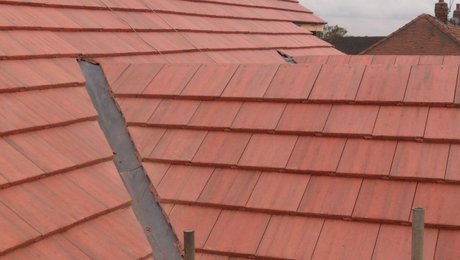 DEMON DEVELOPMENTS 12