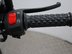 Mutt Hilts 125 Pre-registered 18