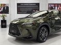 Lexus NX 450H PLUS TAKUMI 10