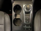 Ford Focus 1.0 Focus Active Auto 5dr 29