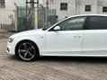Audi A4 TDI BLACK EDITION 19