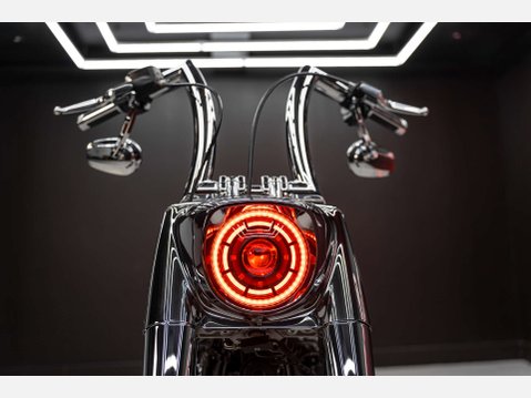 Harley-Davidson Terminator T-800 7