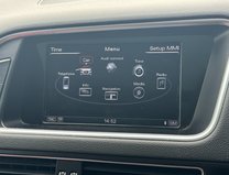 Audi SQ5 3.0 BiTDI V6 SUV 5dr Diesel Tiptronic quattro Euro 5 (s/s) (313 ps) 21