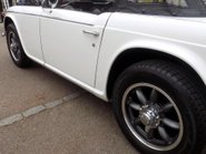 Triumph TR5 Sports 44