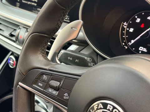 Alfa Romeo Stelvio 2.1 Stelvio Speciale TD AWD Auto 4WD 5dr 30