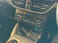 Ford Kuga 1.5 EcoBlue Titanium First Edition Auto Euro 6 (s/s) 5dr 21