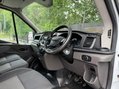 Ford Transit 350 LEADER P/V ECOBLUE 14