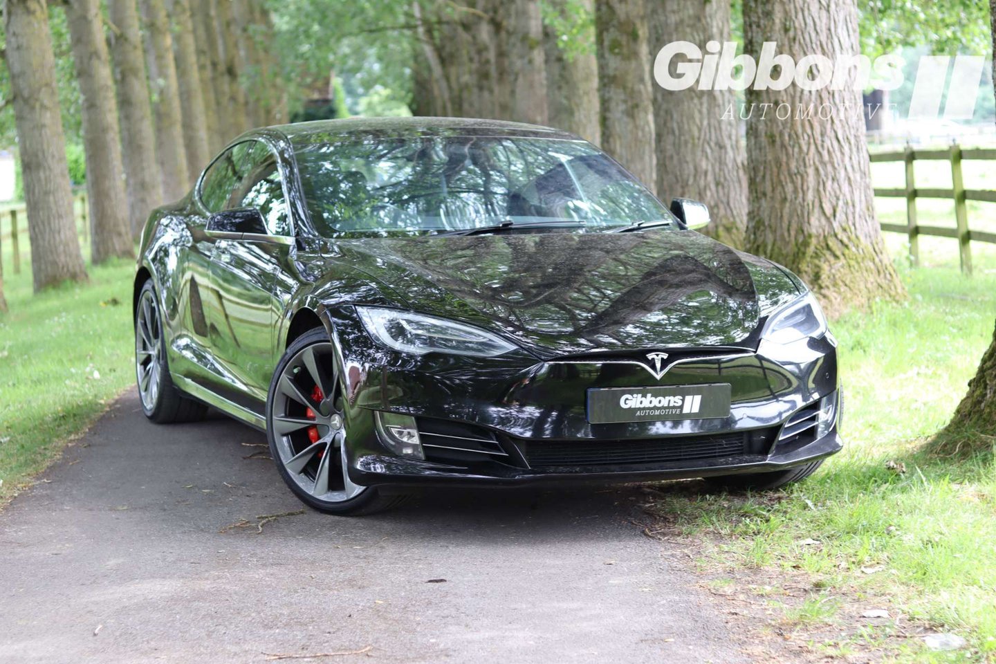 2019 TESLA MODEL S