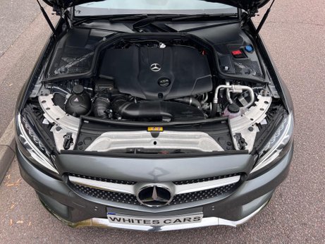 Mercedes-Benz C Class 2.1 C250d AMG Line (Premium Plus) Cabriolet G-Tronic+ Euro 6 (s/s) 2dr 29