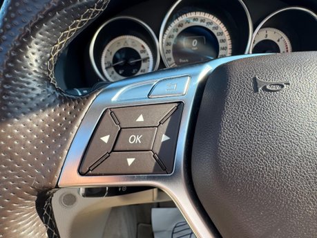 Mercedes-Benz E Class E220 CDI AMG SPORT 20