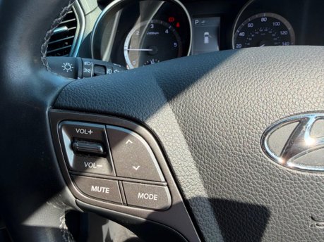 Hyundai SANTA FE CRDI PREMIUM BLUE DRIVE 11