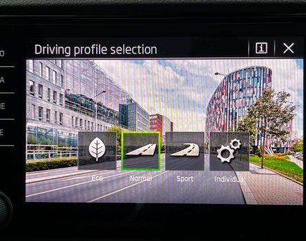 Skoda Karoq 1.5 Karoq Sportline TSi Semi-Auto 5dr 46