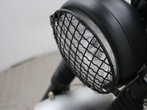 Mutt Akita 125 Pre-registered 13