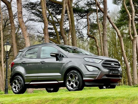 Ford Ecosport ST-LINE 22