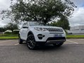 Land Rover Discovery Sport 2.2 Discovery Sport HSE SD4 Auto 4WD 5dr 38
