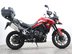 Triumph Tiger 900 TIGER 900 GT PRO 