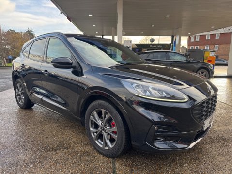 Ford Kuga ST-LINE EDITION ECOBLUE MHEV 6