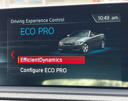 BMW 2 Series 1.5 218I Sport 2dr 42