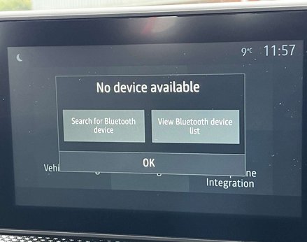 Dacia Sandero 1.0 Sandero Stepway Expression LPG TCE 5dr 31