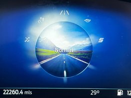 Ford Fiesta 1.0 Fiesta Active Vignale T MHEV 5dr 29