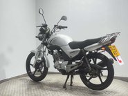 Yamaha YBR 125 2007 19K RUNNING PROJECT BIKE SPARES OR REPAIR 125CC LEARNER BIKE 5