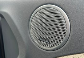 Land Rover Range Rover Evoque 2.2 SD4 DYNAMIC AUTO 19