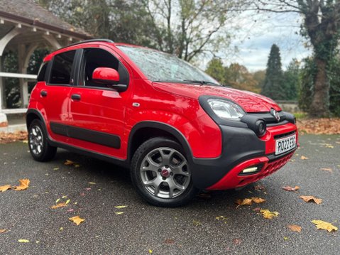 Fiat Panda RED MHEV 11