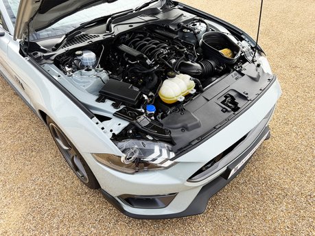 Ford Mustang MACH 1 63