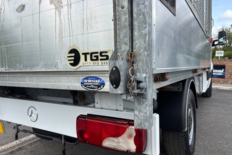 Mercedes-Benz Sprinter 314 Cdi Single Cab Cage Tipper 22