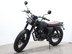 Mutt Mongrel 125 Pre-registered 11