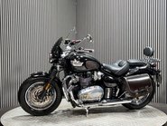 Triumph Speedmaster 2019 ONLY 24K LONG MOT PANNIERS SISSY BAR CRUISER ROADSTER 10
