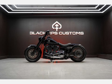 Harley-Davidson Terminator REV-9 31