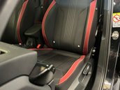 Skoda Kamiq 1.0 Kamiq Monte Carlo TSi 5dr 41