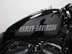 Harley-Davidson Sportster XL 1200 CX ROADSTER 17 24