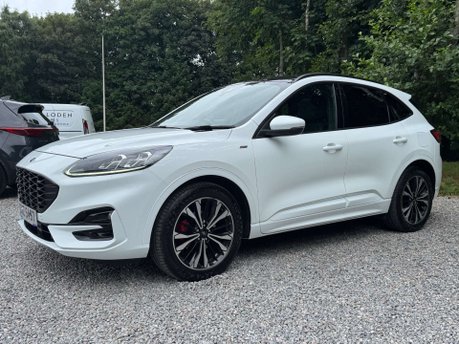 Ford Kuga 2.0 Kuga ST-Line X EcoBlue MHEV 5dr 12