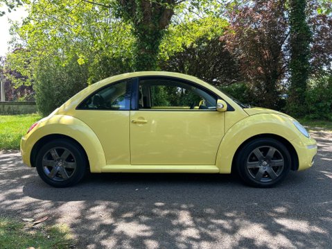 Volkswagen Beetle LUNA 8V 13