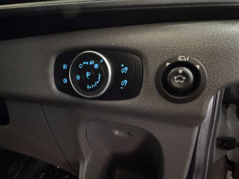 Ford Transit 350 Limited 2.0 EcoBlue L4 10