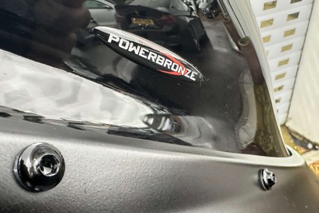 Aprilia RSV 1.1 RSV 4 1100 Factory 30