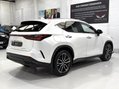 Lexus NX 450H PLUS TAKUMI Pan Roof + Mark Levinson Sound 16