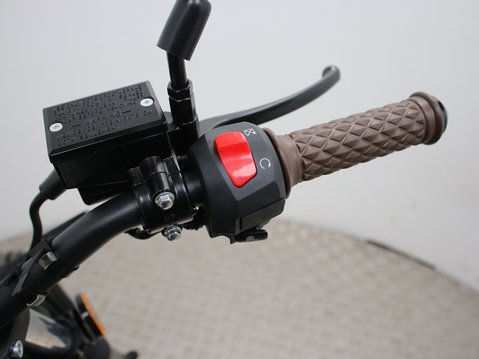 Mutt Mongrel 125 Pre-registered 22