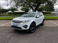 Land Rover Discovery Sport 2.2 Discovery Sport HSE SD4 Auto 4WD 5dr 26